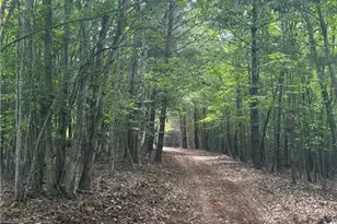 397 US Hwy 221 South Hwy, Sparta, NC 28675 - Photo 10