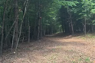 397 US Hwy 221 South Hwy, Sparta, NC 28675 - Photo 12
