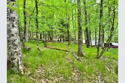 146 Hornbeam Road, Beech Mountain, NC 28604 - Photo 6