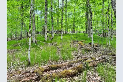 146 Hornbeam Road, Beech Mountain, NC 28604 - Photo 4