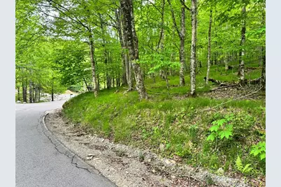 146 Hornbeam Road, Beech Mountain, NC 28604 - Photo 2