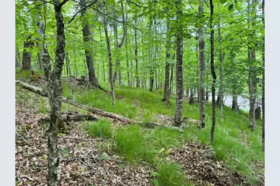 146 Hornbeam Road, Beech Mountain, NC 28604 - Photo 8