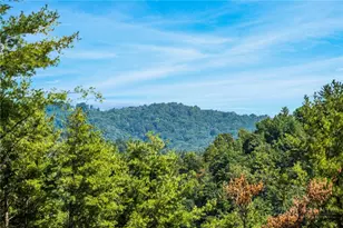 149 River Spring Rd, Sugar Grove, NC 28679 - Photo 16