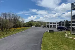 301 Pinnacle Inn Rd, Beech Mountain, NC 28604 - Photo 18
