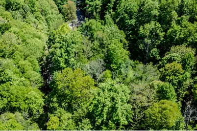 Tbd Buckeye Ridge Road, Beech Mountain, NC 28604 - Photo 12