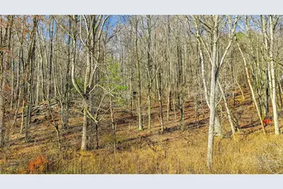 1451 Elliott Road, West Jefferson, NC 28694 - Photo 6
