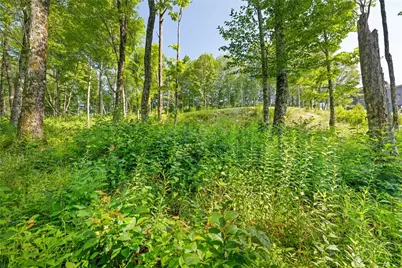 Lot 39 Skycamp Trail, Banner Elk, NC 28604 - Photo 2