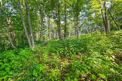Lot 39 Skycamp Trail, Banner Elk, NC 28604 - Photo 10