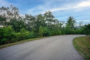 352 Pepperroot Rd, Boone, NC 28607 - Photo 1