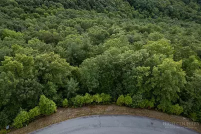 352 Pepperroot Road, Boone, NC 28607 - Photo 2
