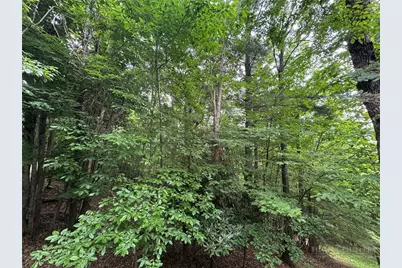 Tbd Wildcat Estates Drive, Deep Gap, NC 28618 - Photo 26