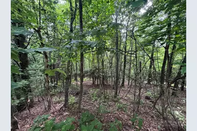 Tbd Wildcat Estates Drive, Deep Gap, NC 28618 - Photo 6