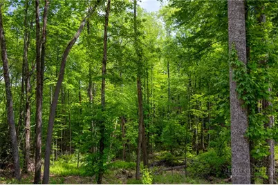 24 Wilderness Reserve Parkway, Deep Gap, NC 28618 - Photo 18