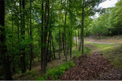 24 Wilderness Reserve Parkway, Deep Gap, NC 28618 - Photo 20