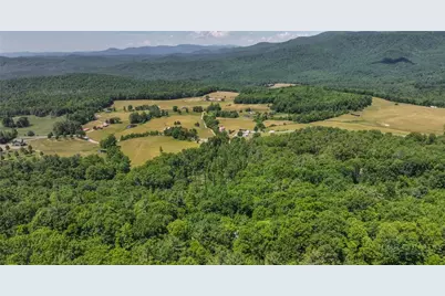 615 Phillips Gap, Purlear, NC 28665 - Photo 6