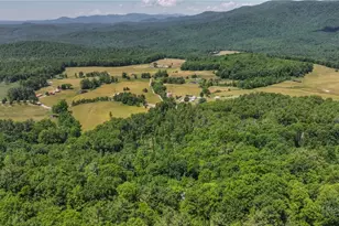 615 Phillips Gap, Purlear, NC 28665 - Photo 6