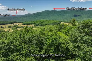 615 Phillips Gap, Purlear, NC 28665 - Photo 4
