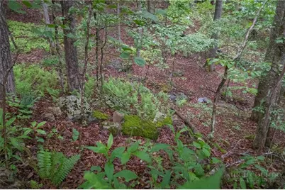 Tbd Taylor Hughes Lane, Newland, NC 28657 - Photo 6