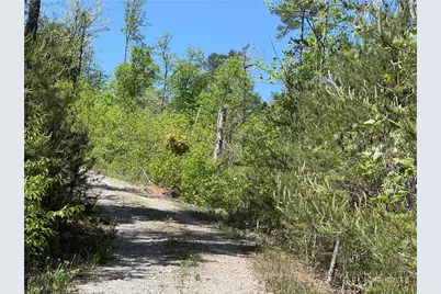 4229 Grandin Road, Lenoir, NC 28645 - Photo 28