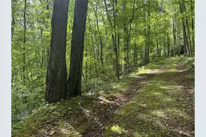 Lot 62 Man O War S, Vilas, NC 28692 - Photo 2