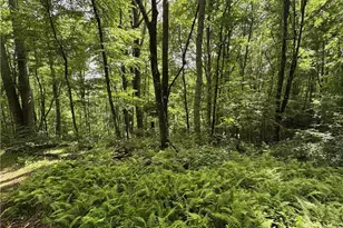 Lot 62 Man O War S, Vilas, NC 28692 - Photo 1