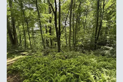 Lot 62 Man O War S, Vilas, NC 28692 - Photo 1