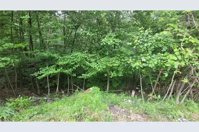 425 Pinnacle Ridge Road, Beech Mountain, NC 28604 - Photo 10