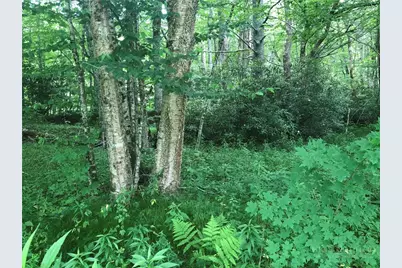Lot #3 Trillium Lane, Linville, NC 28604 - Photo 4