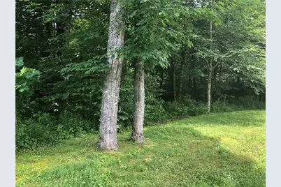 Lot #3 Trillium Lane, Linville, NC 28646 - Photo 6