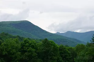 1470 Buck Mountain Rd, West Jefferson, NC 28694 - Photo 2