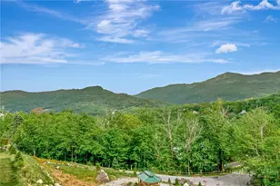 164 Ridgeline Dr, Sugar Mountain, NC 28604 - Photo 30