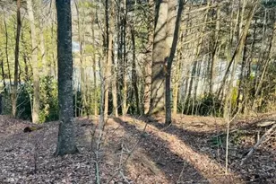 Tbd Skyview Ln, Banner Elk, NC 28607 - Photo 1