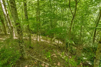 Lot 36 Daisy Ridge Road, Banner Elk, NC 28604 - Photo 20