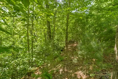 Lot 36 Daisy Ridge Road, Banner Elk, NC 28604 - Photo 18