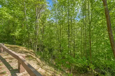 Lot 36 Daisy Ridge Road, Banner Elk, NC 28604 - Photo 24