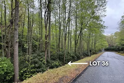 Lot 36 Daisy Ridge Road, Banner Elk, NC 28604 - Photo 8