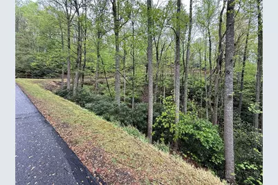 Lot 36 Daisy Ridge Road, Banner Elk, NC 28604 - Photo 16