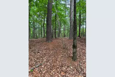 22 Elk Ridge Road, Ferguson, NC 28624 - Photo 8