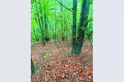 Lot 61 Sams Drive And/Or James Street, Fleetwood, NC 28626 - Photo 4