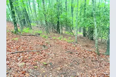 Lot 61 Sams Drive And/Or James Street, Fleetwood, NC 28626 - Photo 2