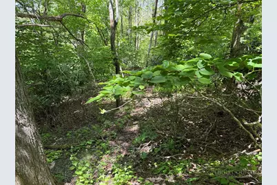 Tbd Blackberry Lane, Blowing Rock, NC 28605 - Photo 4