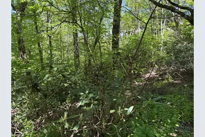 Tbd Blackberry Lane, Blowing Rock, NC 28605 - Photo 10