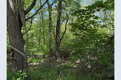 Tbd Blackberry Lane, Blowing Rock, NC 28605 - Photo 12