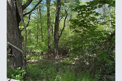 Tbd Blackberry Lane, Blowing Rock, NC 28605 - Photo 2