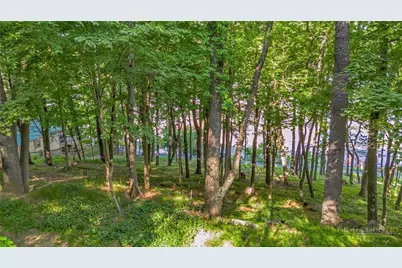 Tbd Spruce Street, West Jefferson, NC 28694 - Photo 10
