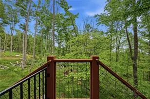 541 Twisted Oak Path, Banner Elk, NC 28604 - Photo 40