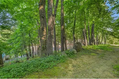 Tbd Spruce Street, West Jefferson, NC 28694 - Photo 12