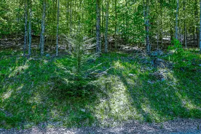 241 Lakeledge Road, Beech Mountain, NC 28604 - Photo 4