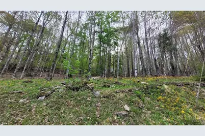 241 Lakeledge Road, Beech Mountain, NC 28604 - Photo 6