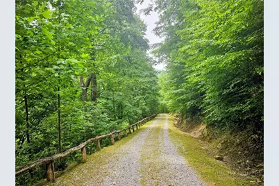 386 Billy Goat Bluff, Elk Park, NC 28622 - Photo 46